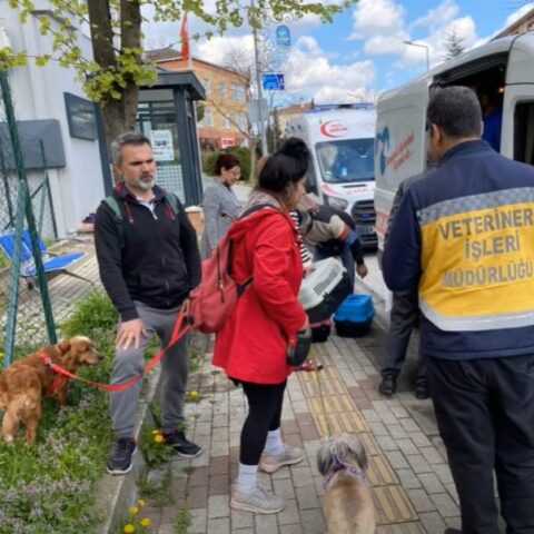 Eyüp Belediyesi Akşemsettin Mahallesi Sağlık Taraması